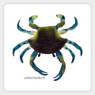 Blue Crab Magnet